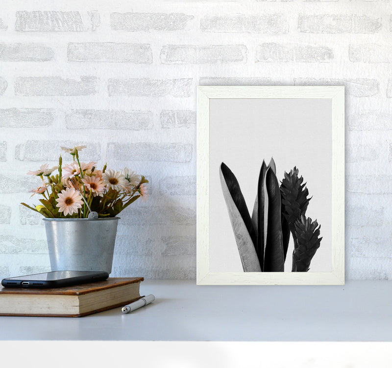 Flower Black & White Print By Orara Studio A4 Oak Frame