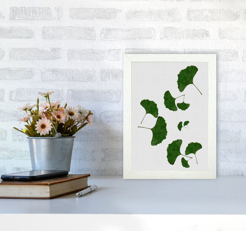 Ginkgo Leaf I Print By Orara Studio, Framed Botanical & Nature Art Print A4 Oak Frame