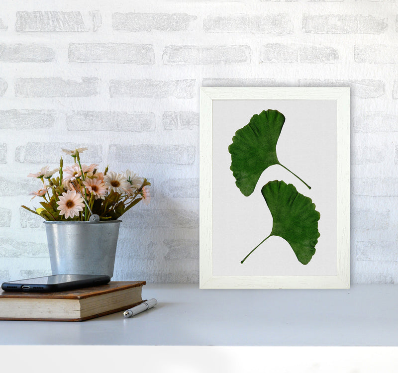 Ginkgo Leaf II Print By Orara Studio, Framed Botanical & Nature Art Print A4 Oak Frame