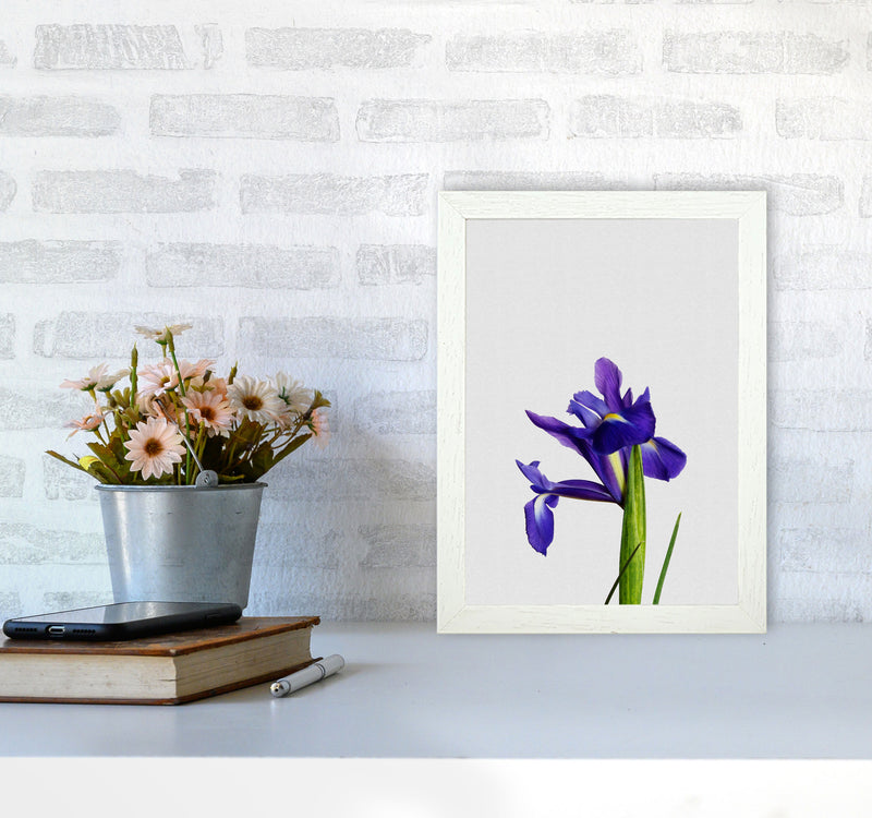 Iris Still Life Print By Orara Studio, Framed Botanical & Nature Art Print A4 Oak Frame