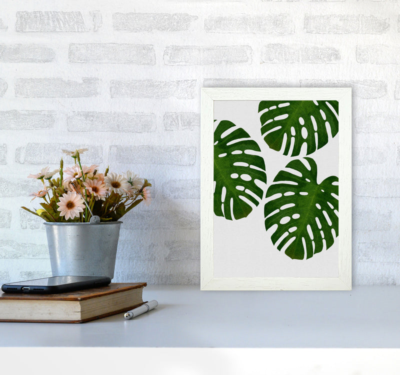 Monstera Leaf III Print By Orara Studio, Framed Botanical & Nature Art Print A4 Oak Frame