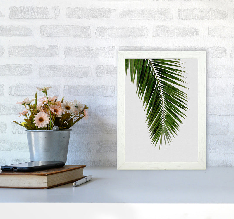 Palm Leaf I Print By Orara Studio, Framed Botanical & Nature Art Print A4 Oak Frame