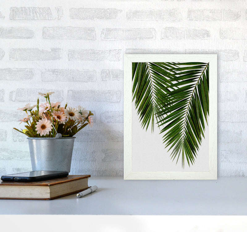 Palm Leaf II Print By Orara Studio, Framed Botanical & Nature Art Print A4 Oak Frame