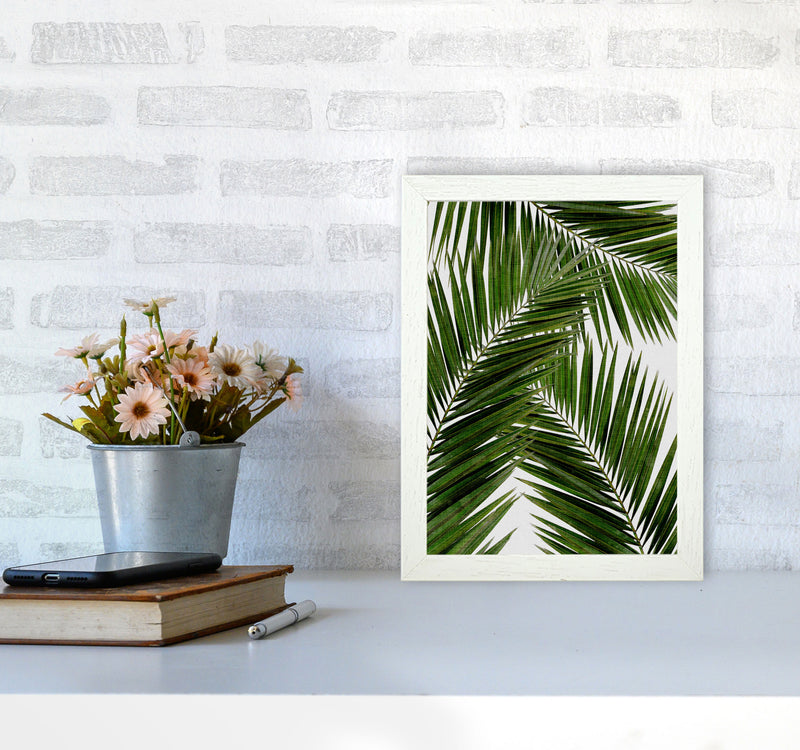 Palm Leaf III Print By Orara Studio, Framed Botanical & Nature Art Print A4 Oak Frame