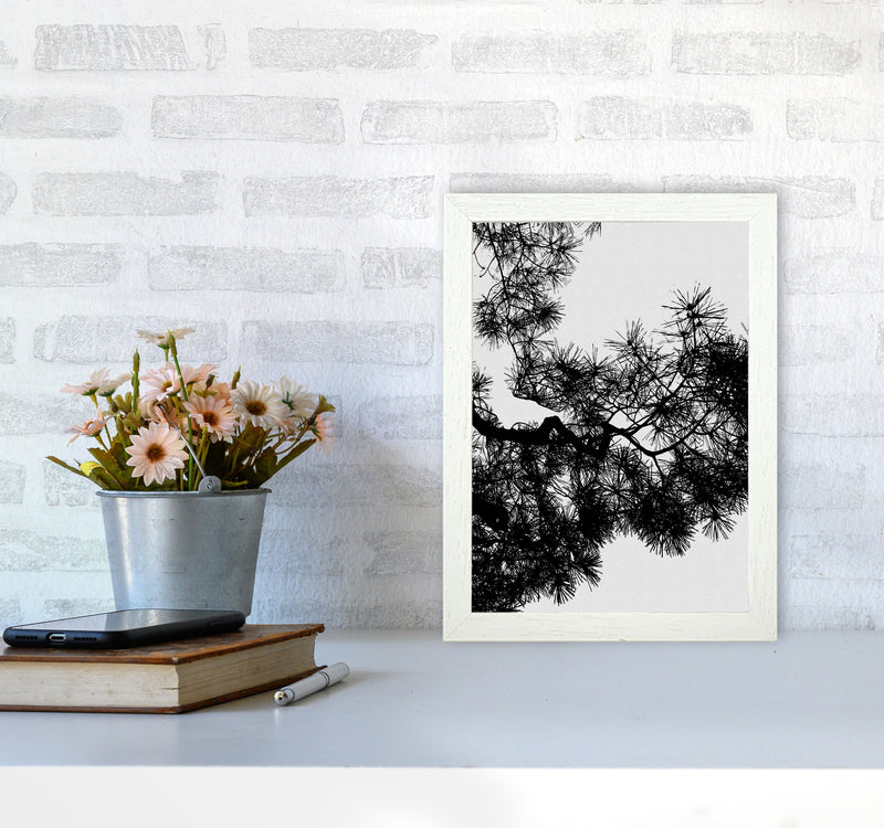 Pine Tree Black & White Print By Orara Studio A4 Oak Frame