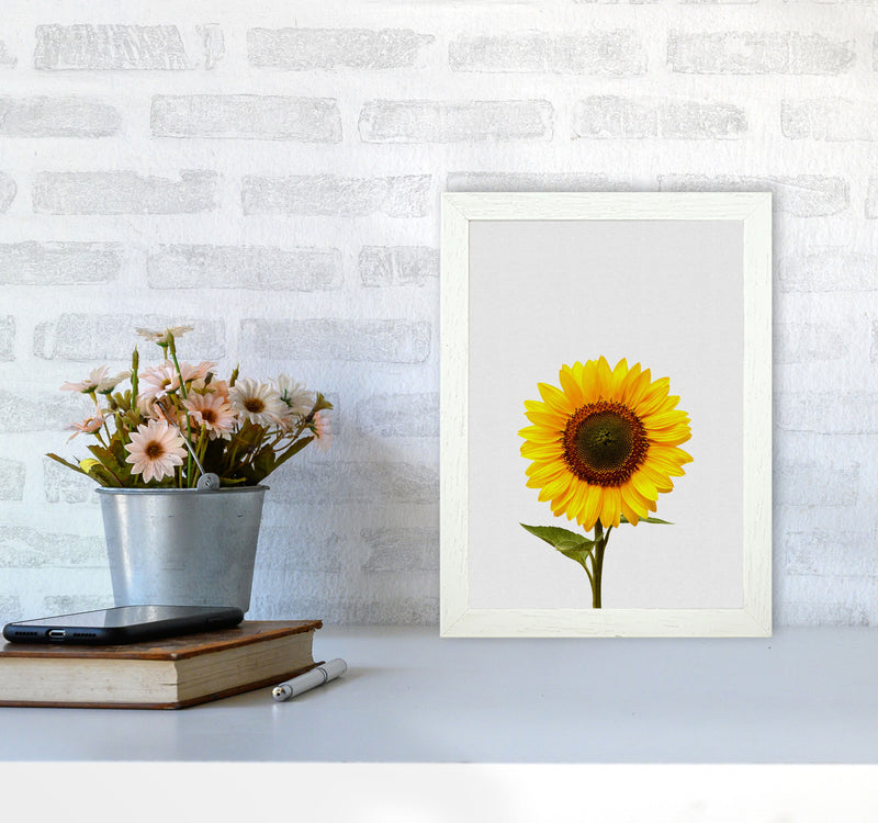 Sunflower Still Life Print By Orara Studio, Framed Botanical & Nature Art Print A4 Oak Frame