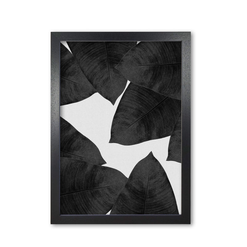Banana Leaf Black & White II Print By Orara Studio Black Grain