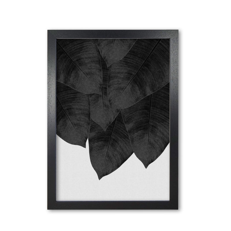 Banana Leaf Black & White III Print By Orara Studio Black Grain