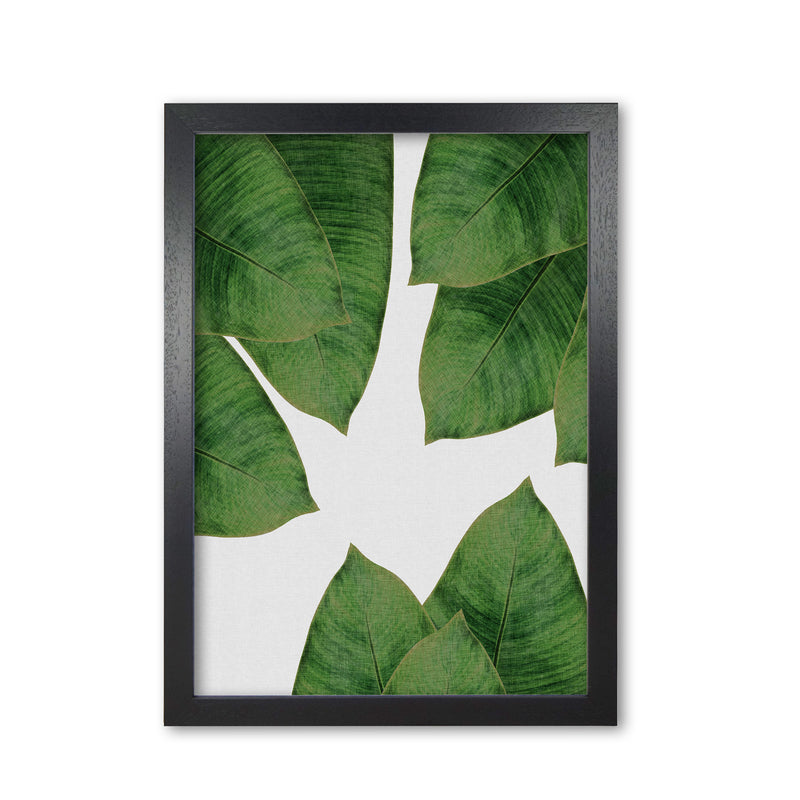 Banana Leaf I Print By Orara Studio, Framed Botanical & Nature Art Print Black Grain