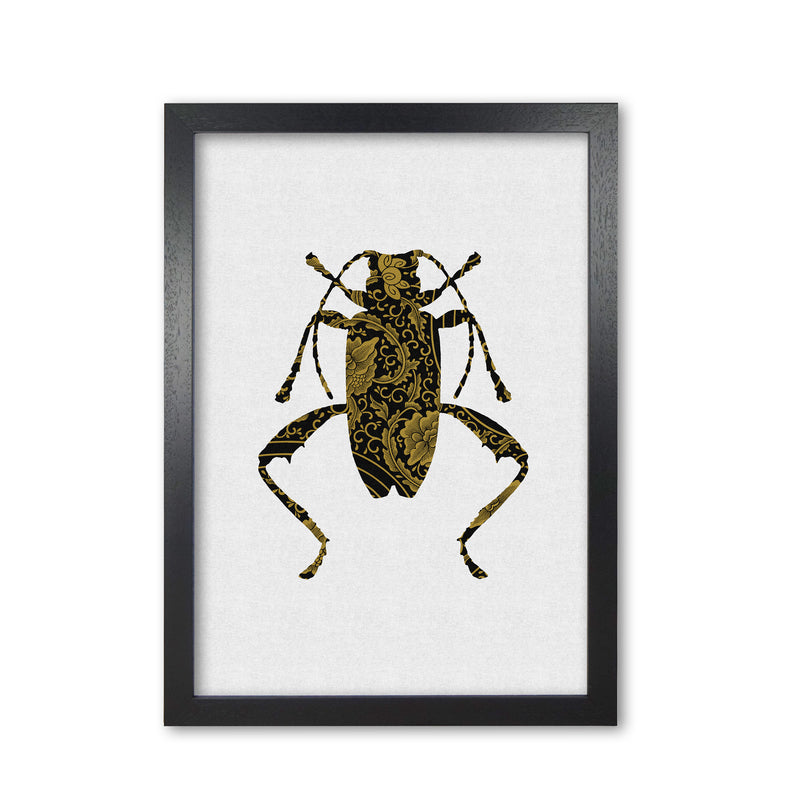 Black And Gold Beetle III Print By Orara Studio Animal Art Print Black Grain
