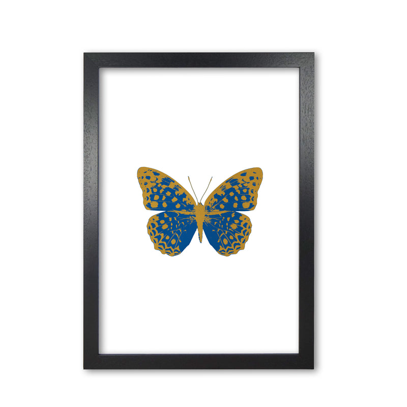 Blue Butterfly Print By Orara Studio Animal Art Print Black Grain