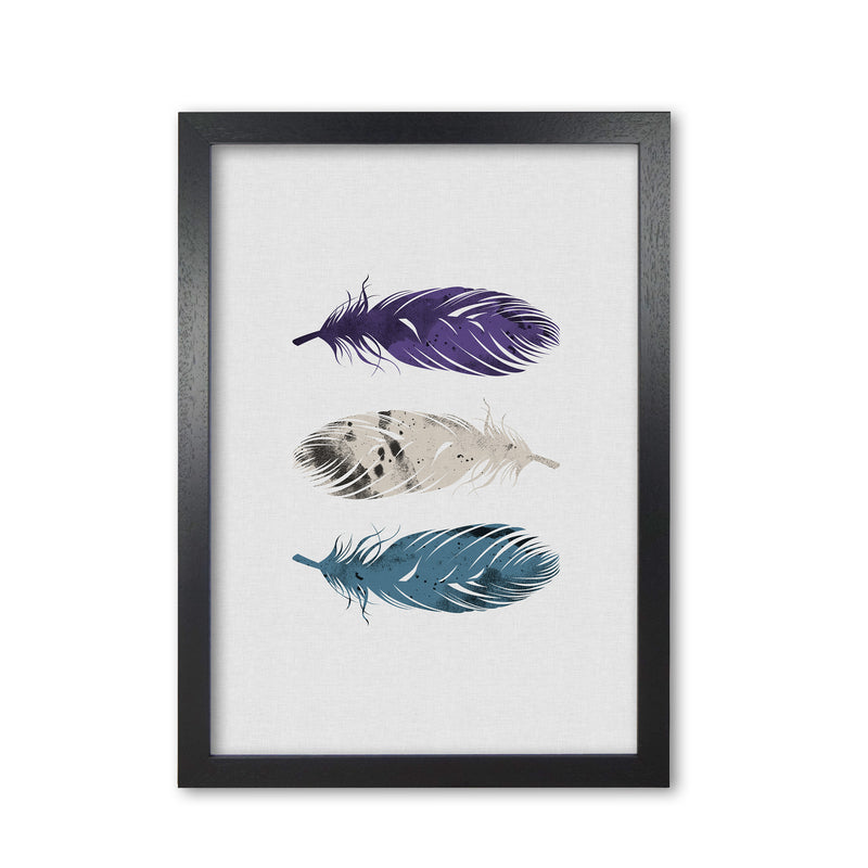 Blue, Purple & White Feathers Print By Orara Studio Black Grain