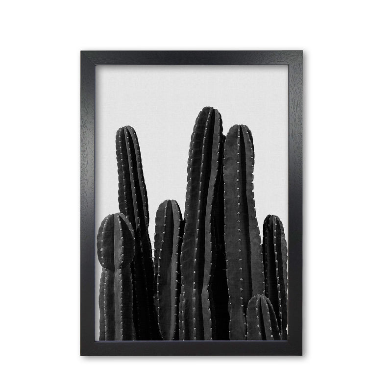 Cactus Black And White Print By Orara Studio, Framed Botanical Art Black Grain