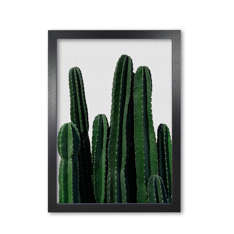 Cactus I Print By Orara Studio, Framed Botanical & Nature Art Print Black Grain
