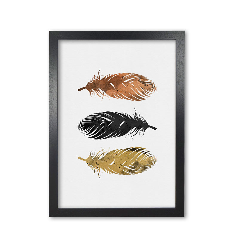 Feathers Print By Orara Studio, Framed Botanical & Nature Art Print Black Grain