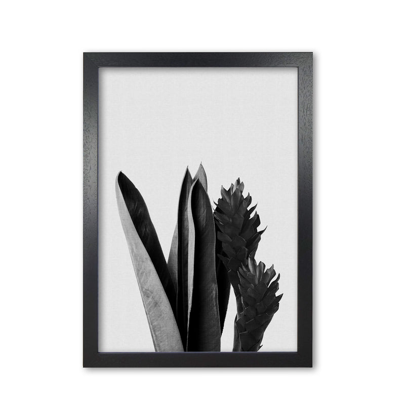 Flower Black & White Print By Orara Studio Black Grain