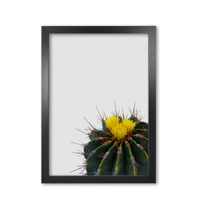 Flower Cactus Print By Orara Studio, Framed Botanical & Nature Art Print Black Grain