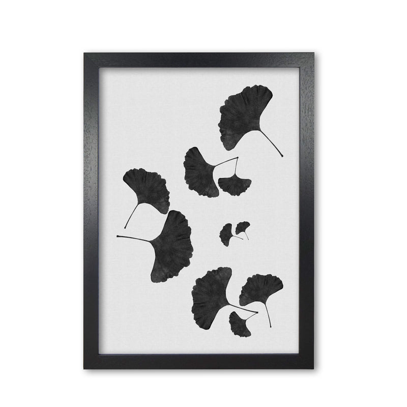 Ginkgo Leaf Black & White I Print By Orara Studio Black Grain