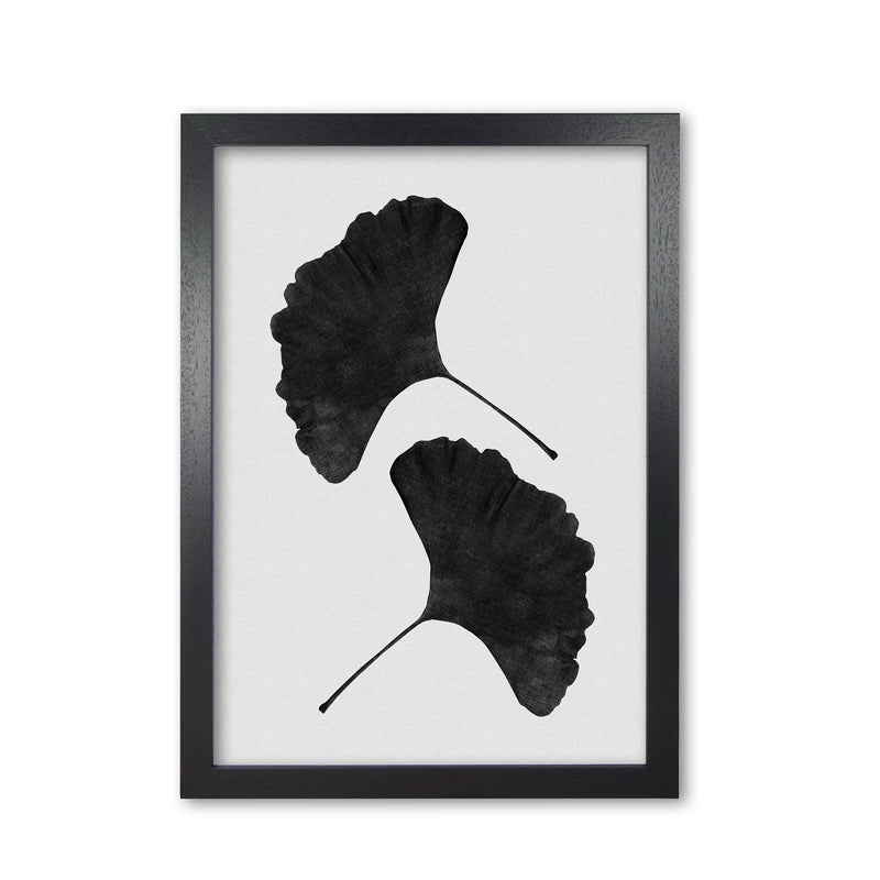 Ginkgo Leaf Black & White II Print By Orara Studio Black Grain