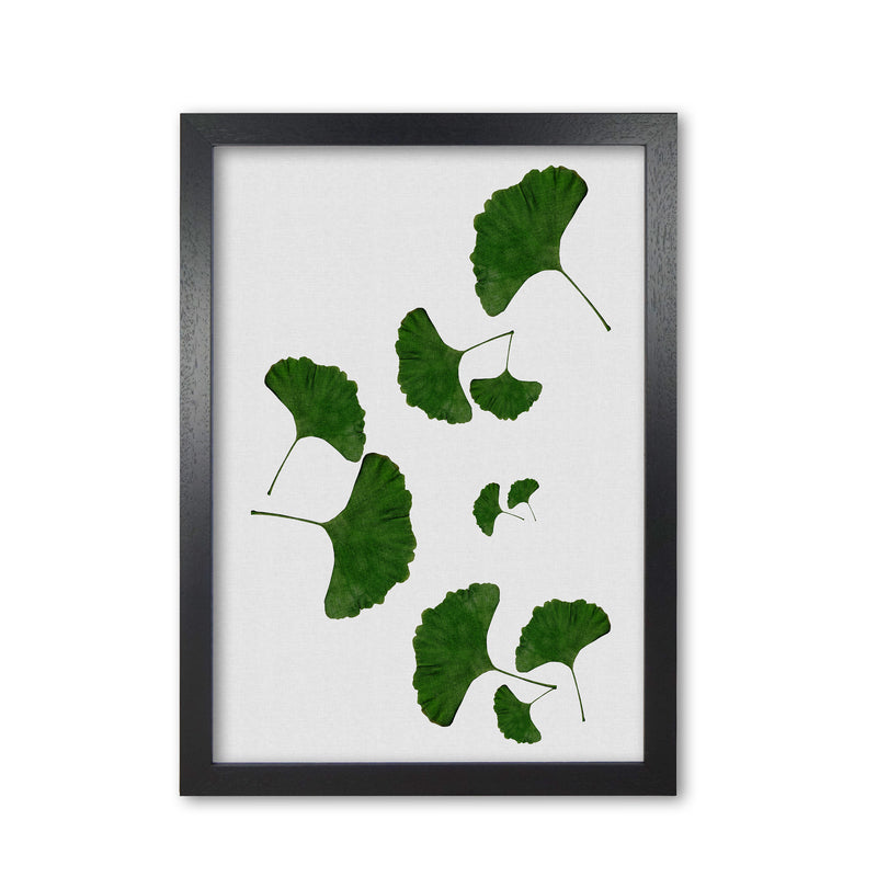 Ginkgo Leaf I Print By Orara Studio, Framed Botanical & Nature Art Print Black Grain