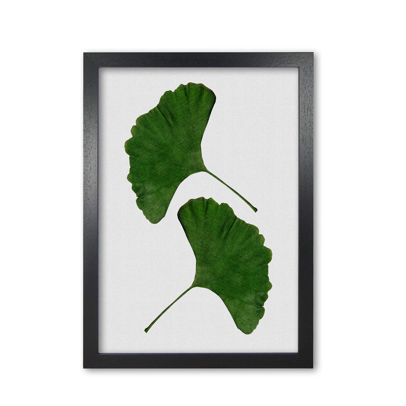 Ginkgo Leaf II Print By Orara Studio, Framed Botanical & Nature Art Print Black Grain