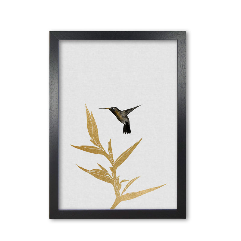 Hummingbird & Flower II Print By Orara Studio Black Grain