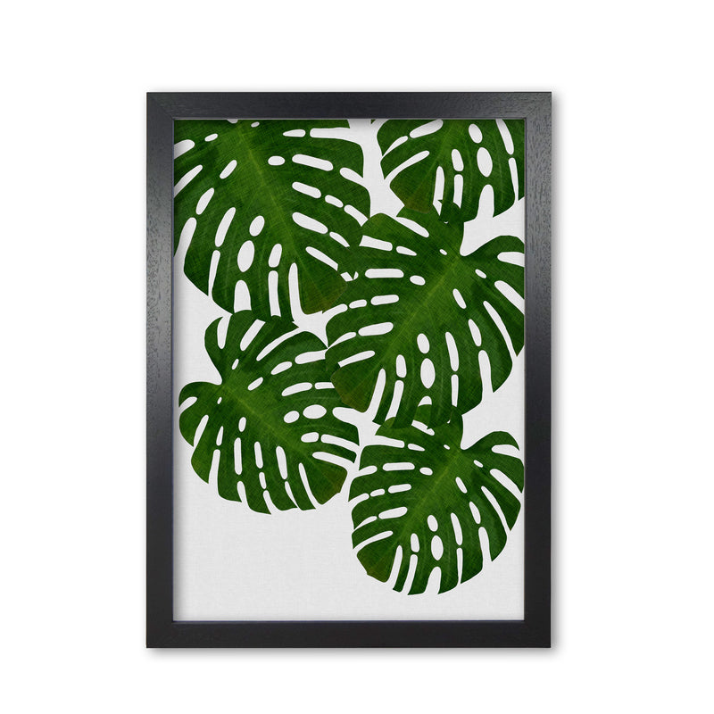 Monstera Leaf I Print By Orara Studio, Framed Botanical & Nature Art Print Black Grain