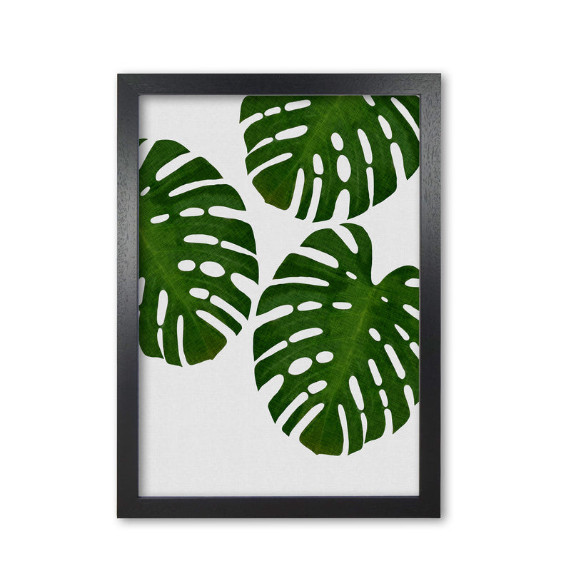 Monstera Leaf III Print By Orara Studio, Framed Botanical & Nature Art Print Black Grain
