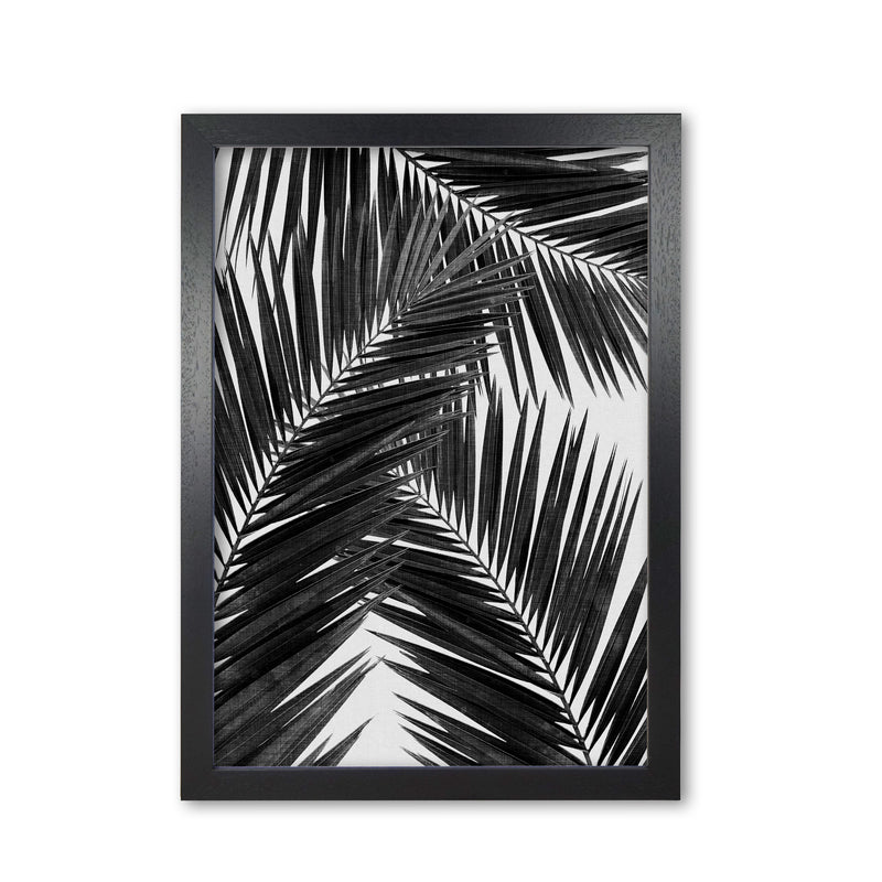 Palm Leaf Black & White III Print By Orara Studio Black Grain