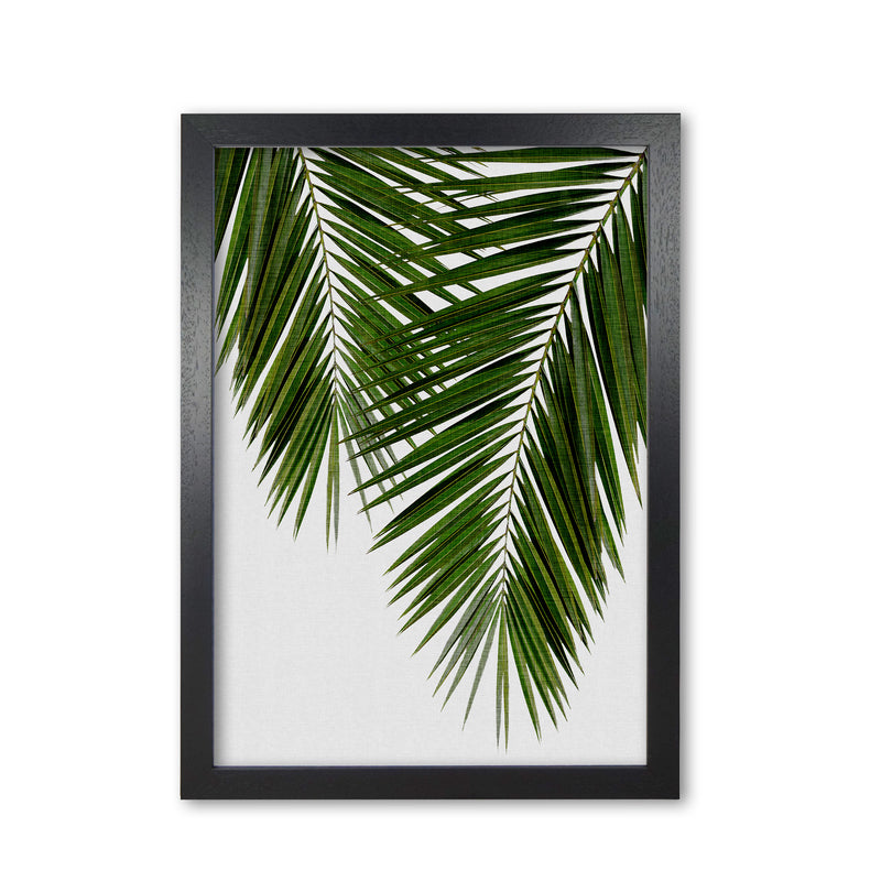 Palm Leaf II Print By Orara Studio, Framed Botanical & Nature Art Print Black Grain