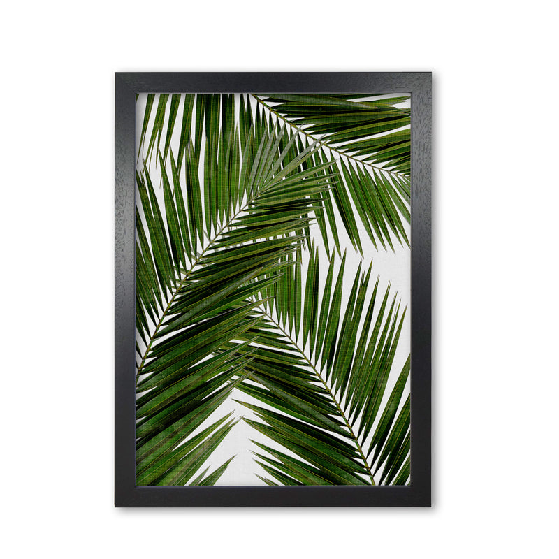 Palm Leaf III Print By Orara Studio, Framed Botanical & Nature Art Print Black Grain