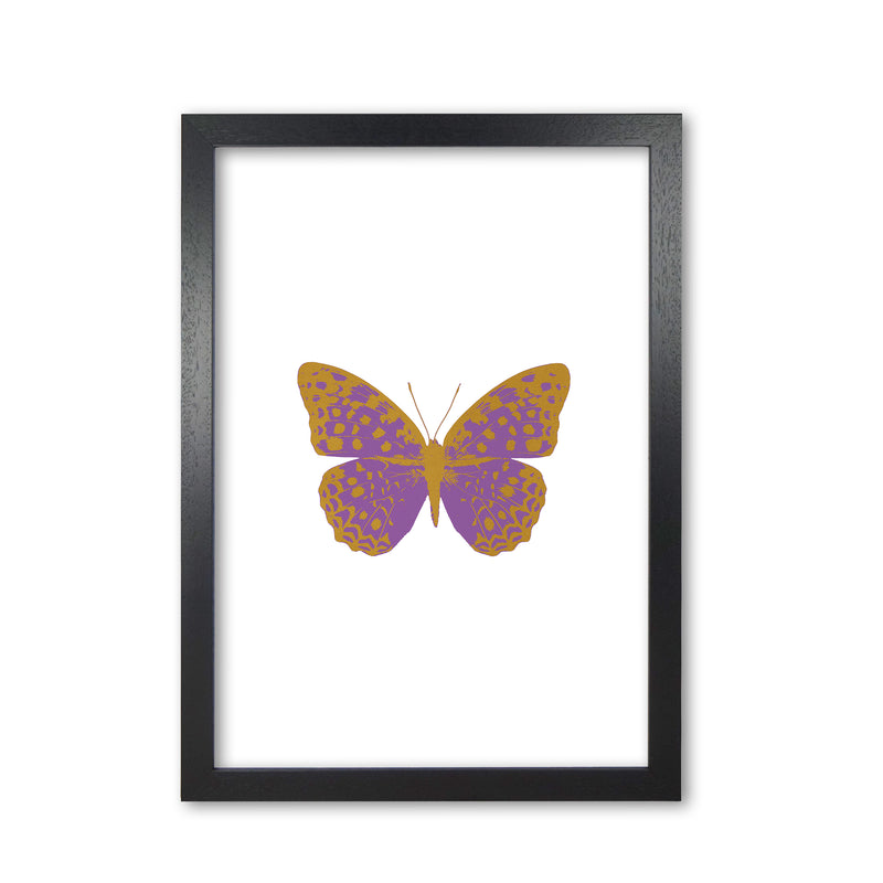 Purple Butterfly Print By Orara Studio Animal Art Print Black Grain