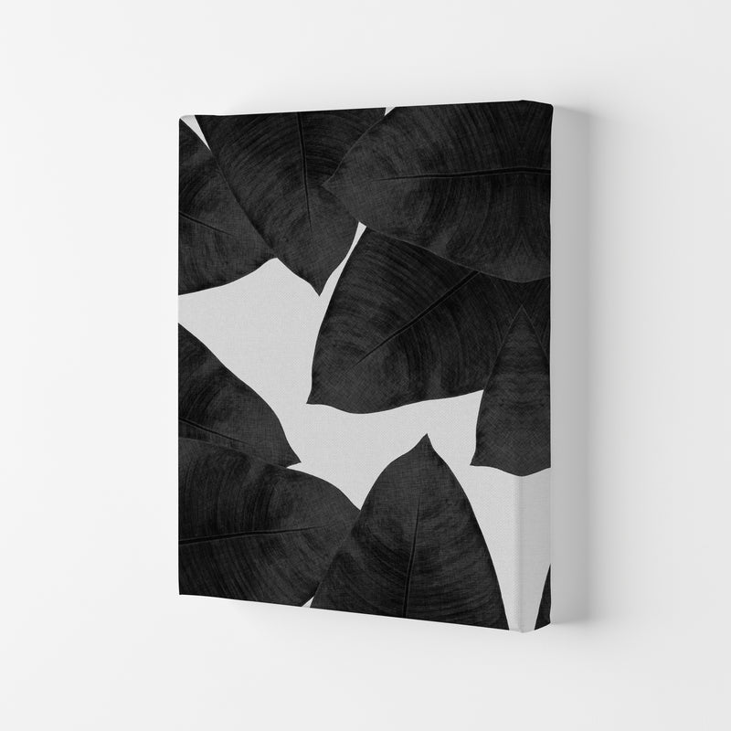 Banana Leaf Black & White II Print By Orara Studio Canvas