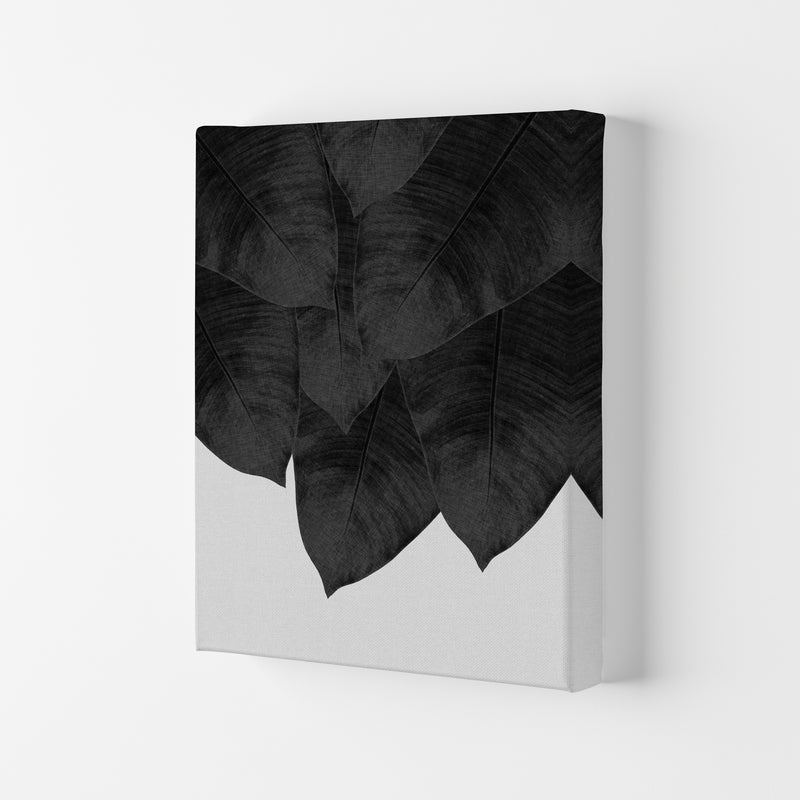 Banana Leaf Black & White III Print By Orara Studio Canvas