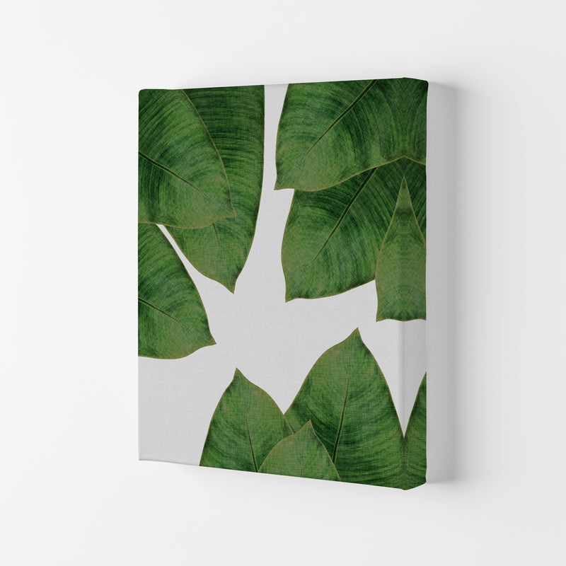Banana Leaf I Print By Orara Studio, Framed Botanical & Nature Art Print Canvas