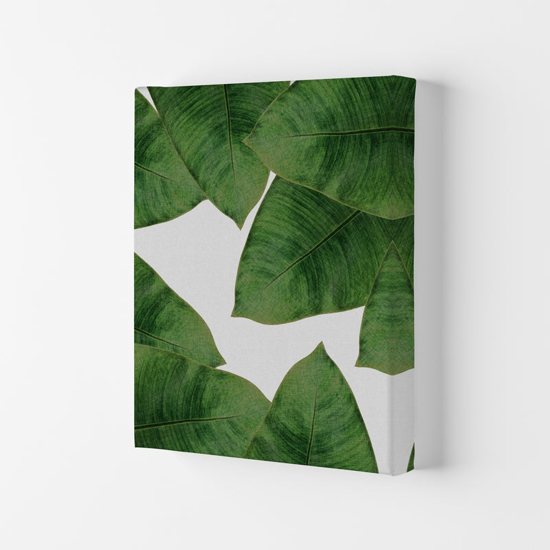 Banana Leaf II Print By Orara Studio, Framed Botanical & Nature Art Print Canvas
