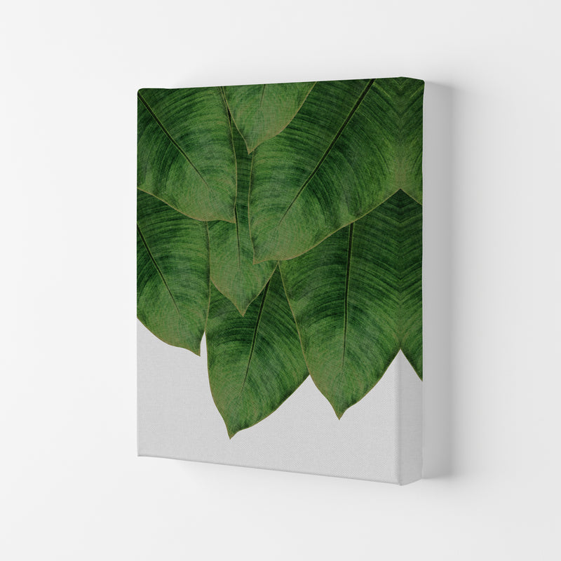 Banana Leaf III Print By Orara Studio, Framed Botanical & Nature Art Print Canvas
