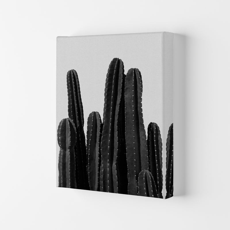 Cactus Black And White Print By Orara Studio, Framed Botanical Art Canvas