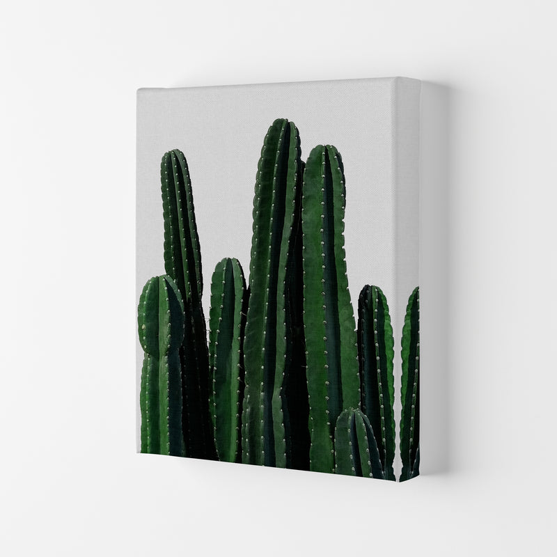 Cactus I Print By Orara Studio, Framed Botanical & Nature Art Print Canvas