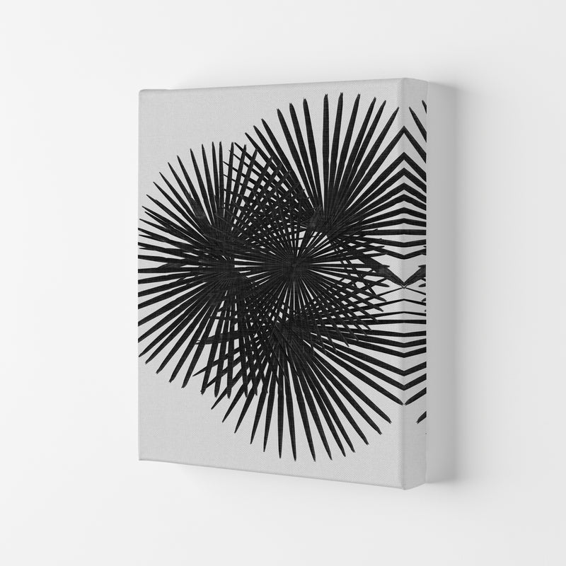 Fan Palm Black & White Print By Orara Studio Canvas