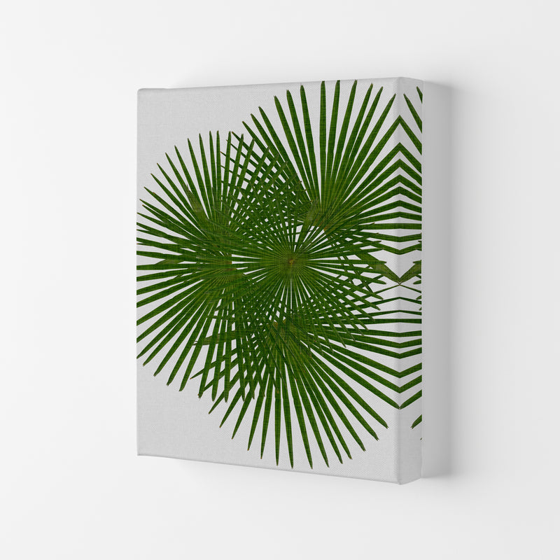 Fan Palm Print By Orara Studio, Framed Botanical & Nature Art Print Canvas