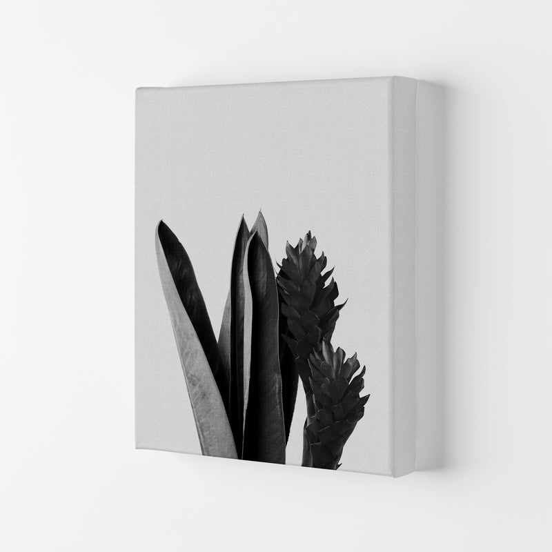 Flower Black & White Print By Orara Studio Canvas