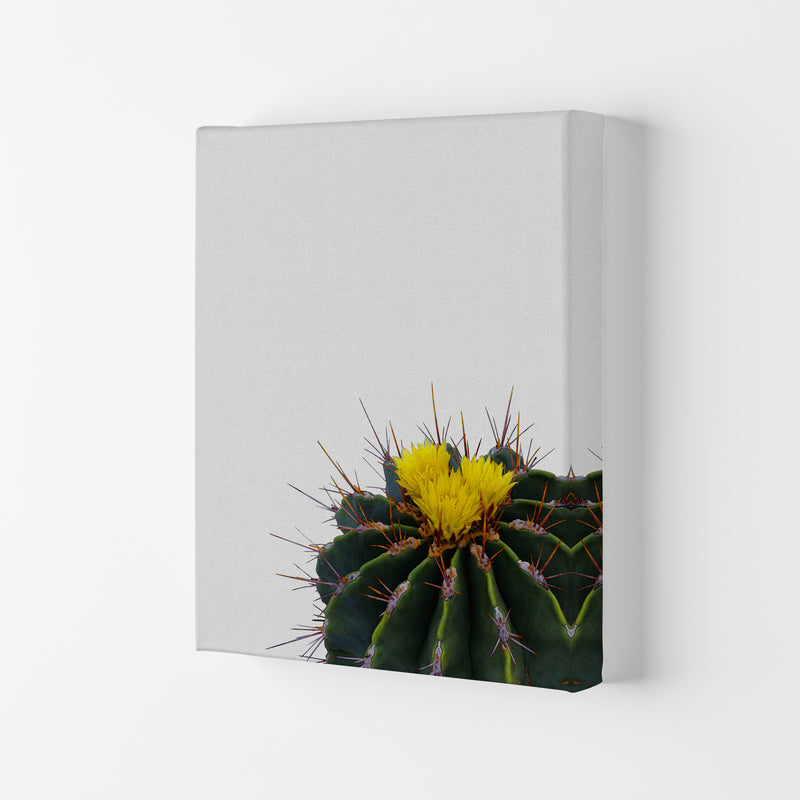 Flower Cactus Print By Orara Studio, Framed Botanical & Nature Art Print Canvas