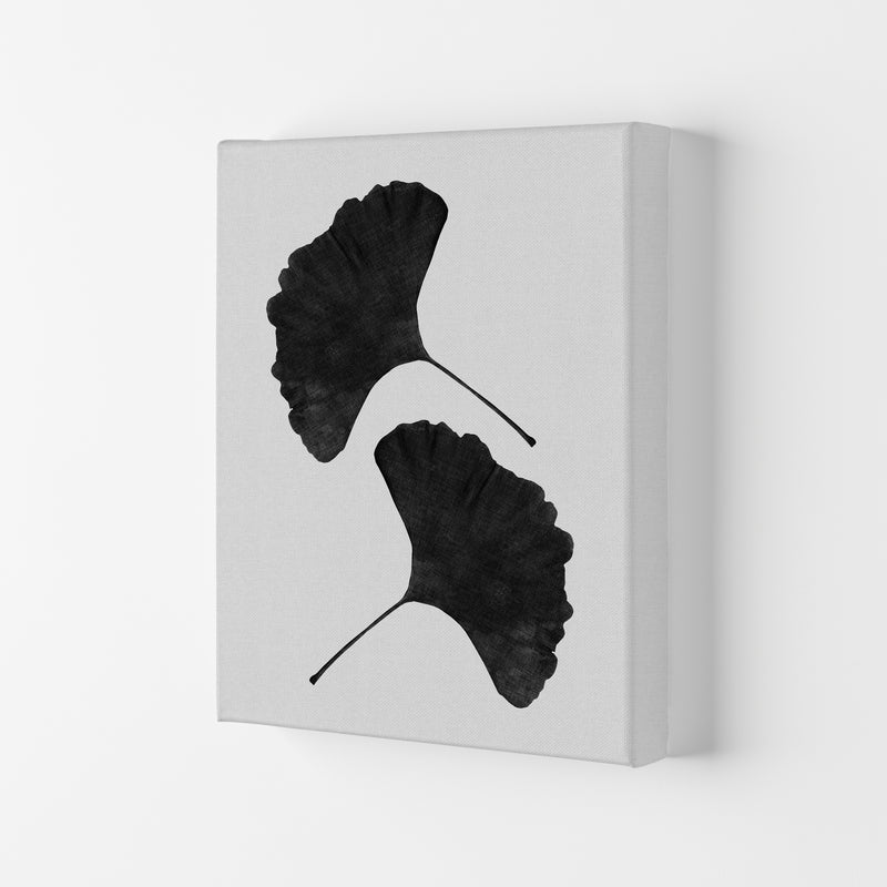 Ginkgo Leaf Black & White II Print By Orara Studio Canvas