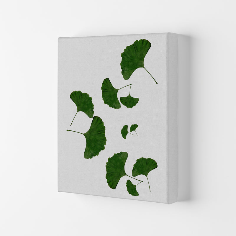 Ginkgo Leaf I Print By Orara Studio, Framed Botanical & Nature Art Print Canvas