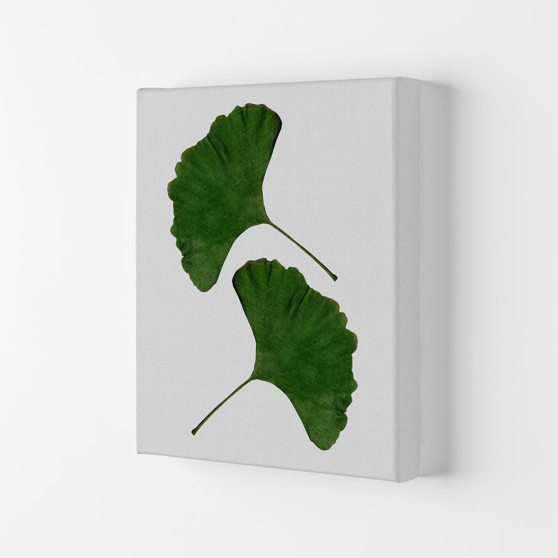 Ginkgo Leaf II Print By Orara Studio, Framed Botanical & Nature Art Print Canvas
