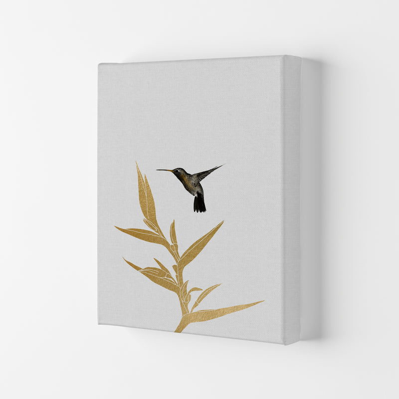Hummingbird & Flower II Print By Orara Studio Canvas
