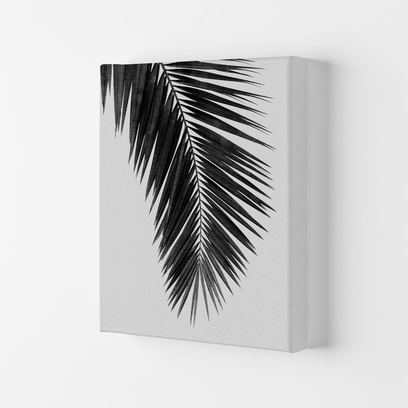 Palm Leaf Black & White I Print By Orara Studio Canvas