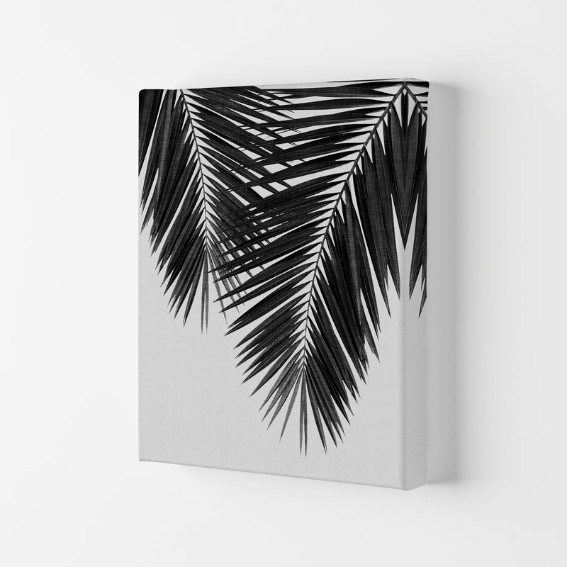 Palm Leaf Black & White II Print By Orara Studio Canvas