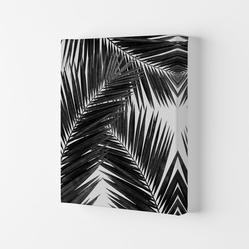 Palm Leaf Black & White III Print By Orara Studio Canvas